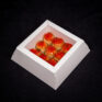 70DB6998-22F5-496E-A1A5-E4317C31F6B52026-02-15_13-47-32_840