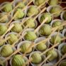 Erdbeere mit Matcha Schokolade