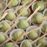 Erdbeere mit Matcha Schokolade