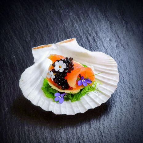 Lachs auf Guacamole · Serviert in der Muschel Lachs auf Guacamole · Serviert in der Muschel