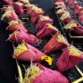 Lachstatar im Rote-Bete-Wrap
