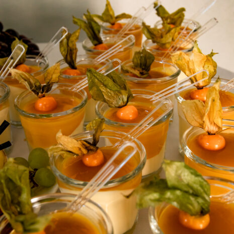 Panna Cotta mit Mango Panna Cotta mit Mango