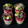 Salat Shuba