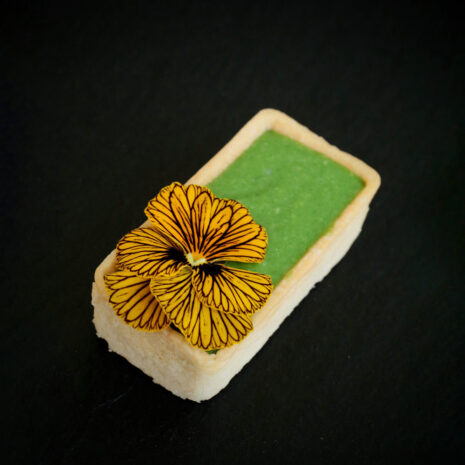 Tartelette mit Spinat Tartelette mit Spinat
