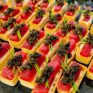 Tartelette mit Thunfisch