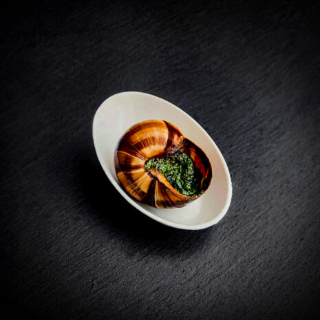 Weinbergschnecke in Kräuterbutter mit Estragon